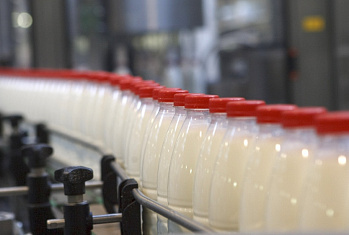 Потребитель будет знать о наличии в молочной продукции пальмового масла